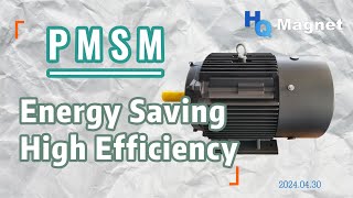 How can permanent magnet motors make electric vehicles more energy efficient