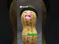 Epic Game Fail Died Twice, Forgot to Heal, Still Fought! #theburntpeanut