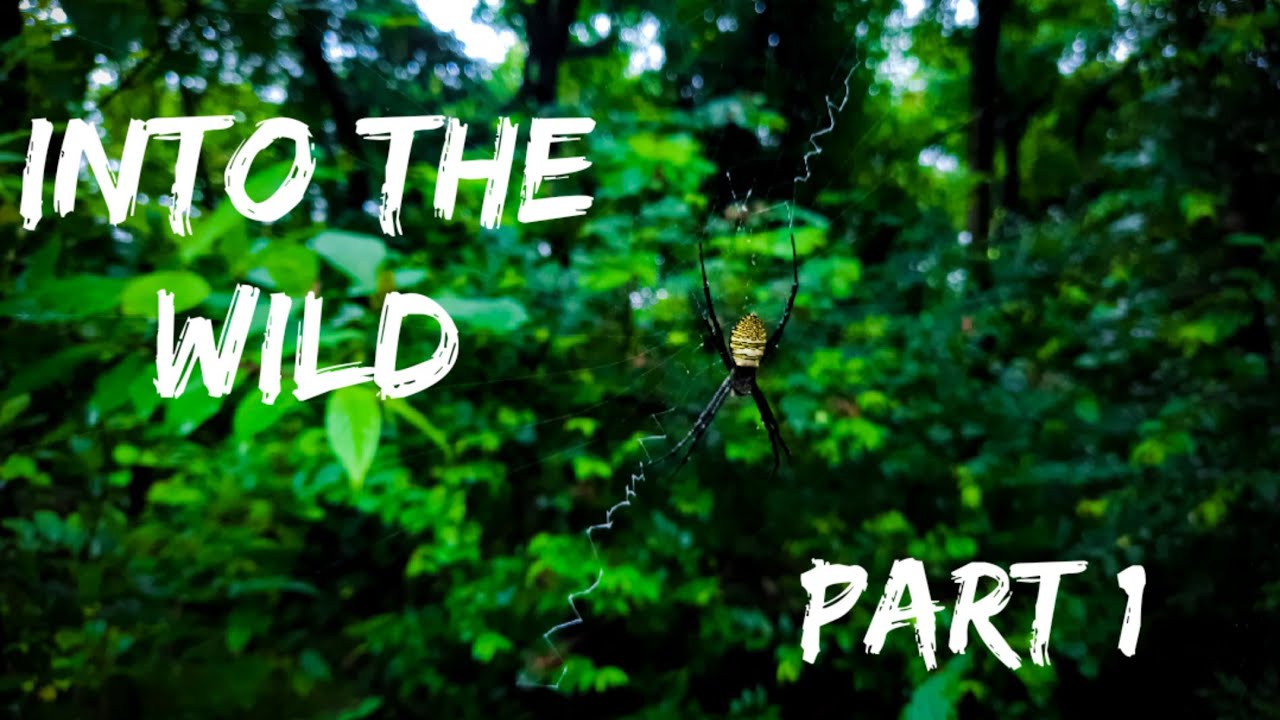 Into The Wild! Exploring the depths of BNHS Conservation and Education Centre