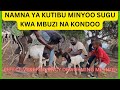 NAMNA NZURI YA KUTIBU MINYOO SUGU KWA MBUZI NA KONDOO 