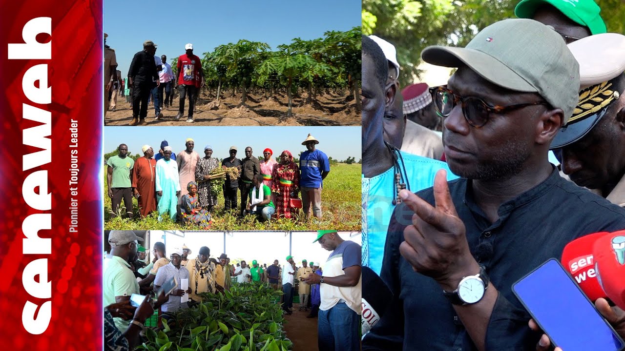 Campagne agricole : Dr Mabouba Diagne révèle la recette de l’année fructueuse