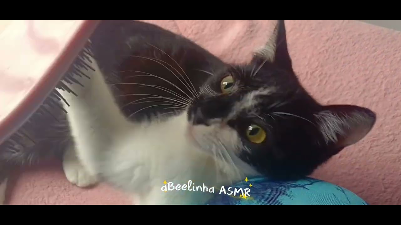 ASMR- meu primeiro asmr🩷🌸✨️