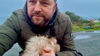 Clearing Skies - Me And My Dog Braving The West Coast Wind In Guernsey