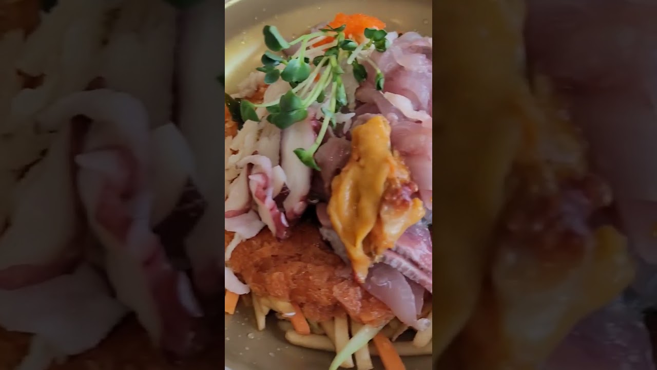 네이버 리뷰 겁나 많은 속초 물회 맛집 검증하러 #청초수물회