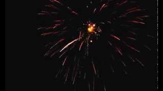 5 Aerial Shell: Fireflies w. Gold Strobe