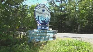 Vet clinic opens back up after last month's fire