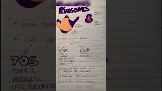 Ribosome biology and physiology | medical 2.0
