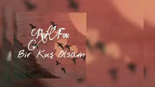 RoiFou-Bir Kuş Olsam (Official Audio)