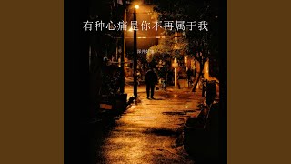 有种心痛是你不再属于我