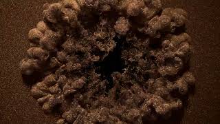 Fedele - Your Eyes Visualizer