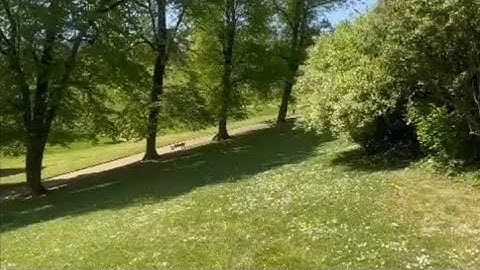 سورة البقرة من آية (1)الى آية(100)للقارئ الشيخ ماهر المعيقلي.