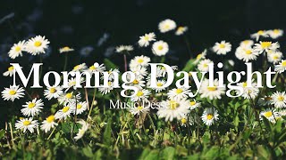 Bringing Daylight To The Coffee Shop, Piano Instrumentals for the Home Cafe | 치유를 돕는 피아노 멜로디