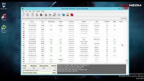 Tutorial Elite Proxy Switcher