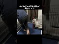 絶叫するポメラニアン