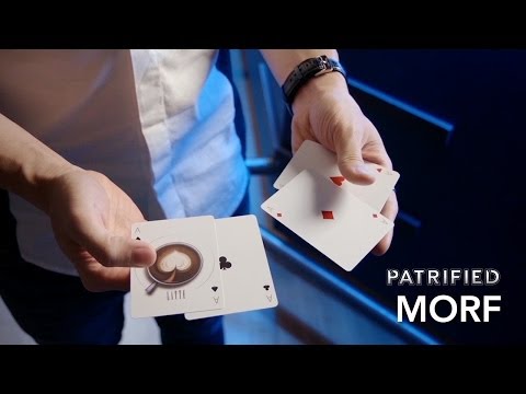 MORF (PATRIFIED) | Patrick Kun x Sansminds