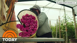 Business Is Blooming For Valentines Day Flowers Amid Pandemic Today