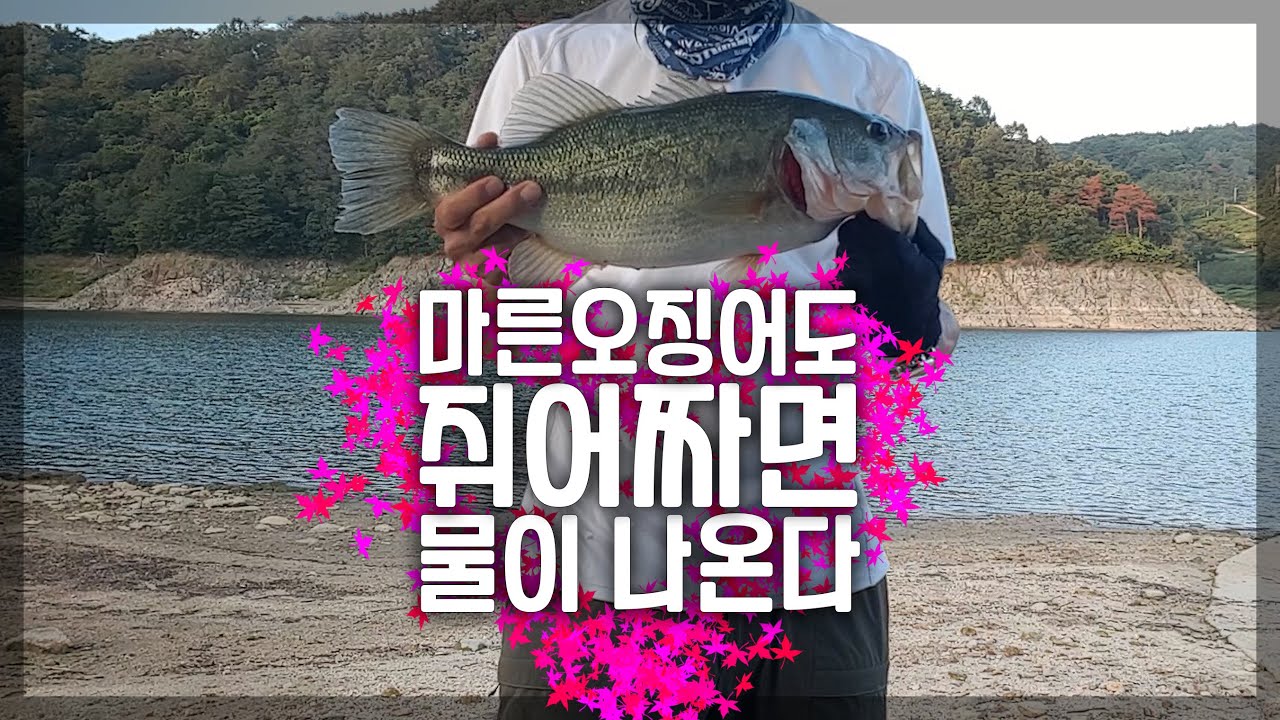 겸손의 시간 안동호 배스 낚시 💠 Bass Fishing Pesca バス釣り