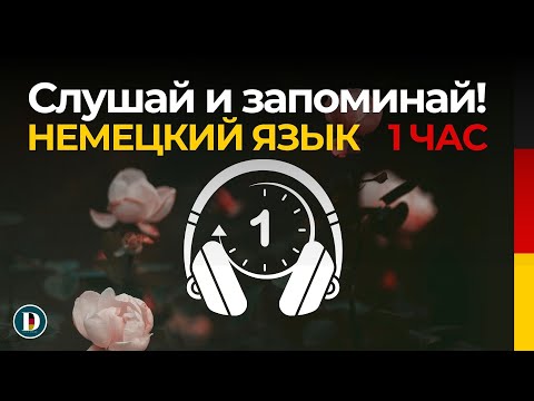 Видео: 1 Час | Медленная и простая немецкая разговорная практика — для начинающих Doch.online