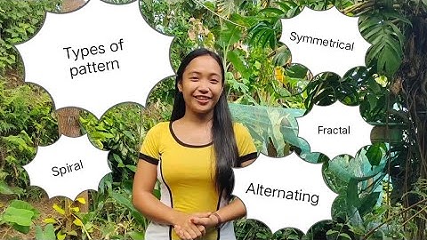 PATTERNS IN NATURE AND TYPES OF PATTERN