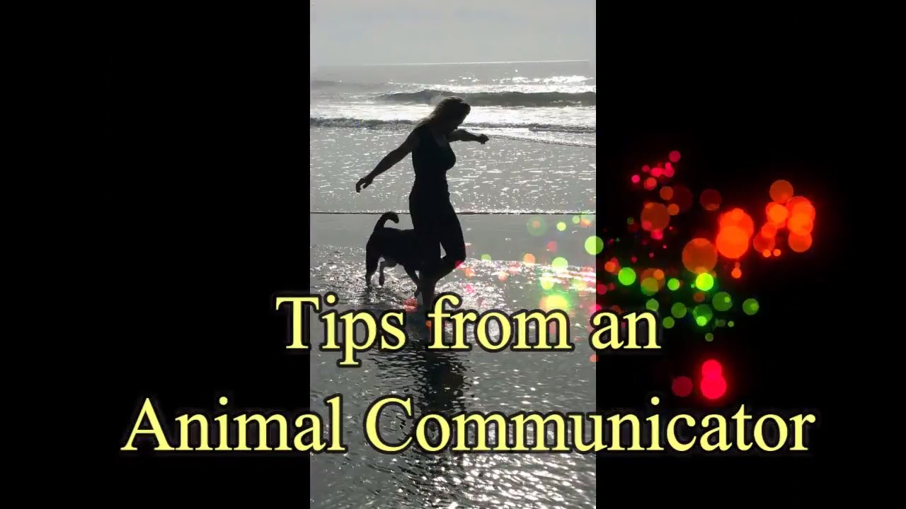 pet psychic near me Telepathic Communication with your Animals