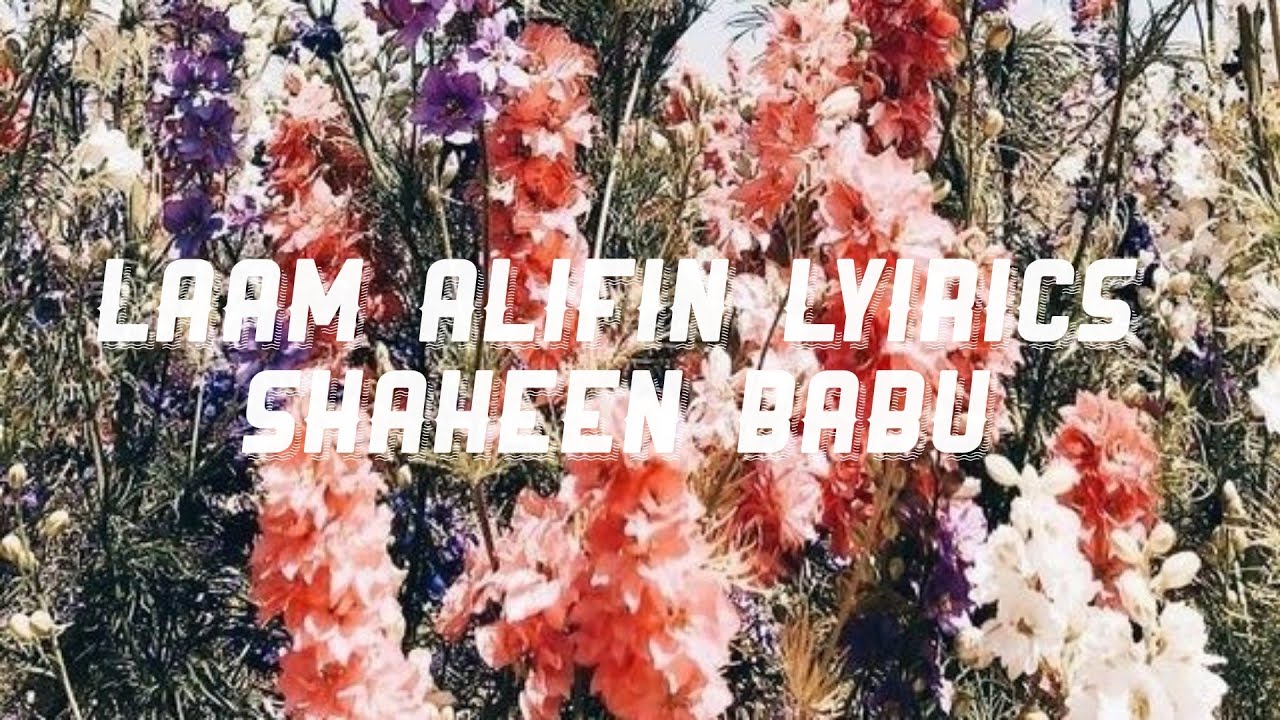 Laam alifin shruthiyil lyricsshahin babusaf lyrics