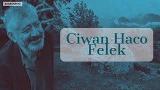 Ciwan Haco Felek (Gotinên Stranê)↴