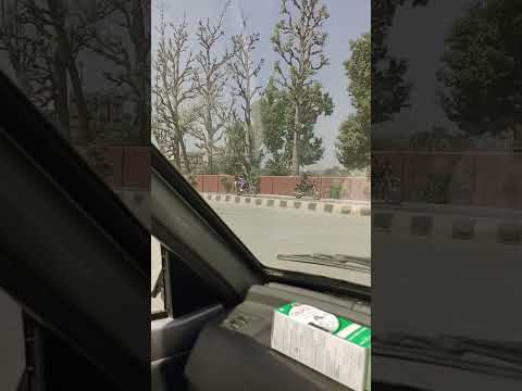 فقط في باكستان   جميل شجرة بدون أوراق  السعودية   