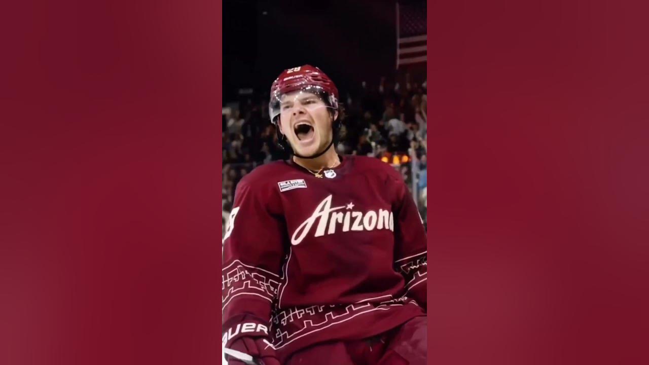 Top 8 Youngest NHL Teams Right Now livvydunne viral nhl blowup