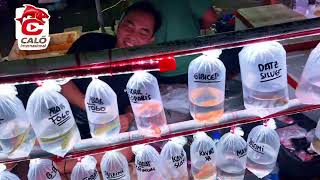 Pasar ikan hias Jatinegara Jakarta Timur 