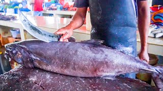 FISH CUTTING SKILLS VIDEO || HUGE RARE FISH CUTTING SKILLS