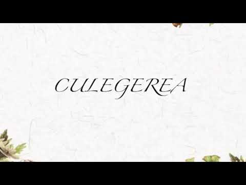 Video: Culegerea Plantelor