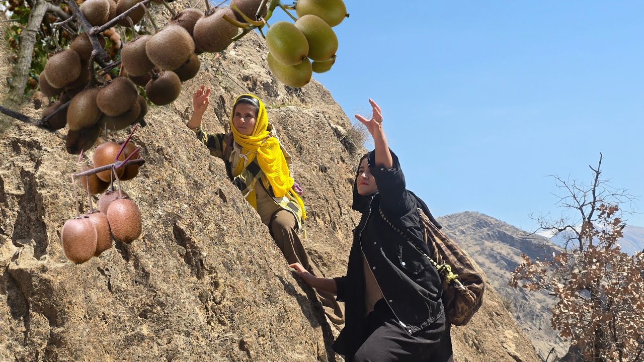 Dağlarda mağarada yaşayan birinin zorlu hayatı: Ölümcül kayalardan yabani meyveler toplamak 😱🔥