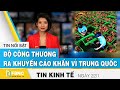 Bộ Công thương ra thông báo khẩn vì Trung Quốc | Tin tức kinh tế 22/1 | FBNC