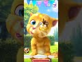 talking ginger gameplay funny cat video talkingtomversion talking ginger gameplay funny cat video talkingtomversion