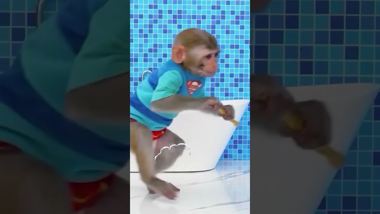 Monkey Baby #monkeybaby #monkeyvideo #kidsvideo #animalstory #anime