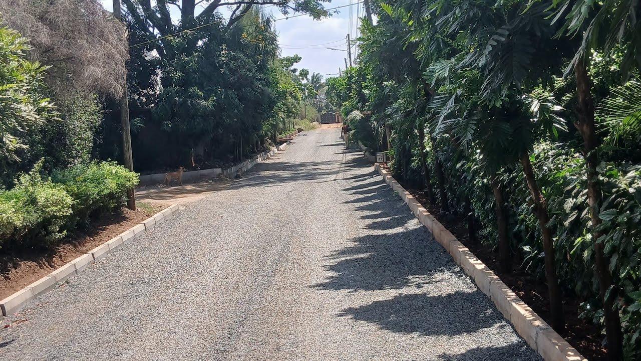 Calm Solo Walk//Health and Fitness walk in the neighbourhood