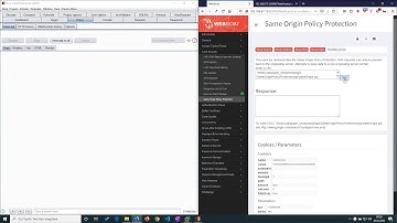 Same Origin Policy Protection (Video solution)