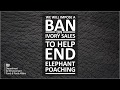 Our plans for banning ivory