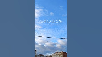 سورة الفتح #allah #اكسبلور #المصحف #foryou #الرحمن #تيك_توك #fypシ #لايك #راحة_نفسية #ترند #foryoupag