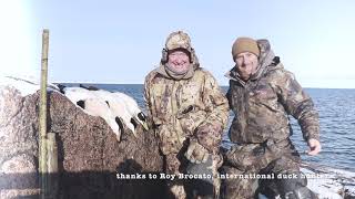 BCN 2022, Borealis eider hunt, Le Goose Shack outfitters, Sea duck hunting Quebec, Eider hunt Quebec