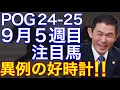 【POG/24-25】9月5週目デビューの注目新馬を紹介【GⅠウィークに素質馬が集結‼️レッドキングリーに期待!】