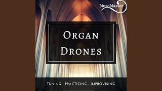 Organ Drone E