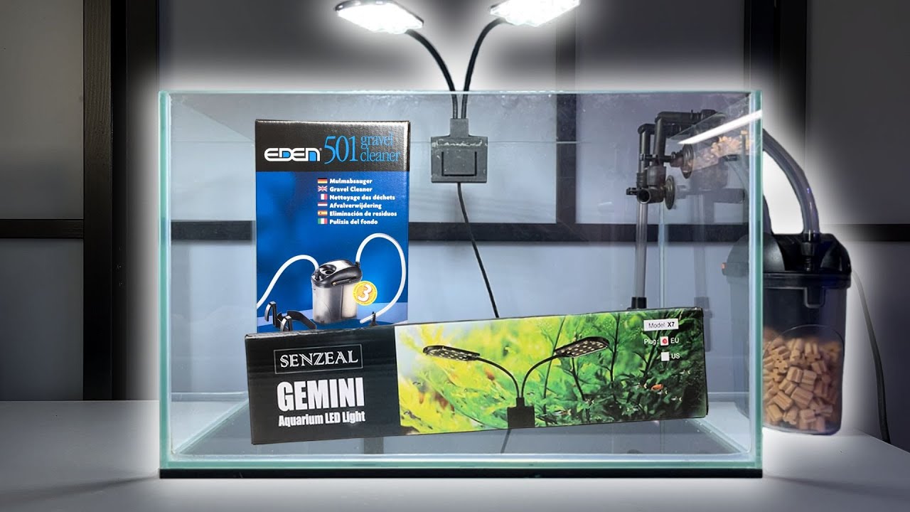 Image showcasing Low Budget Aquarium Setup Under 100$!!! - YouTube