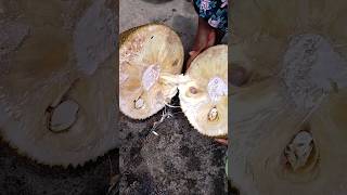 toba Toba shortsfeed 