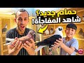 We received a gift 🎁 new pigeons 🕊 watch Yaman's reaction?🤩