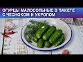 Огурцы малосольные в пакете с чесноком и укропом 🥒 Как приготовить МАЛОСОЛЬНЫЕ ОГУРЦЫ в ПАКЕТЕ