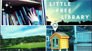 Exploring Little Free Libraries in New Hampshire (Again)! + Book Unhaul