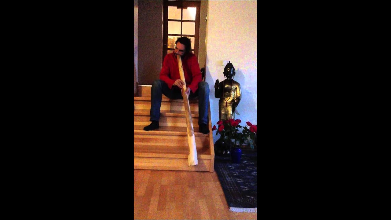 Eukalyptus Didgeridoo , Euka, Didge,, Natur