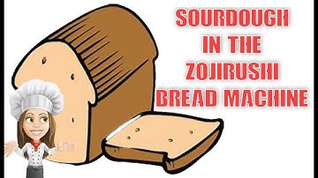 Sourdough in the Zojirushi Bread Machine