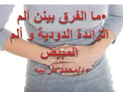 ما الفرق بين ألم الزائدة الدودية و ألم المبيض دكتور محمد طرابيه